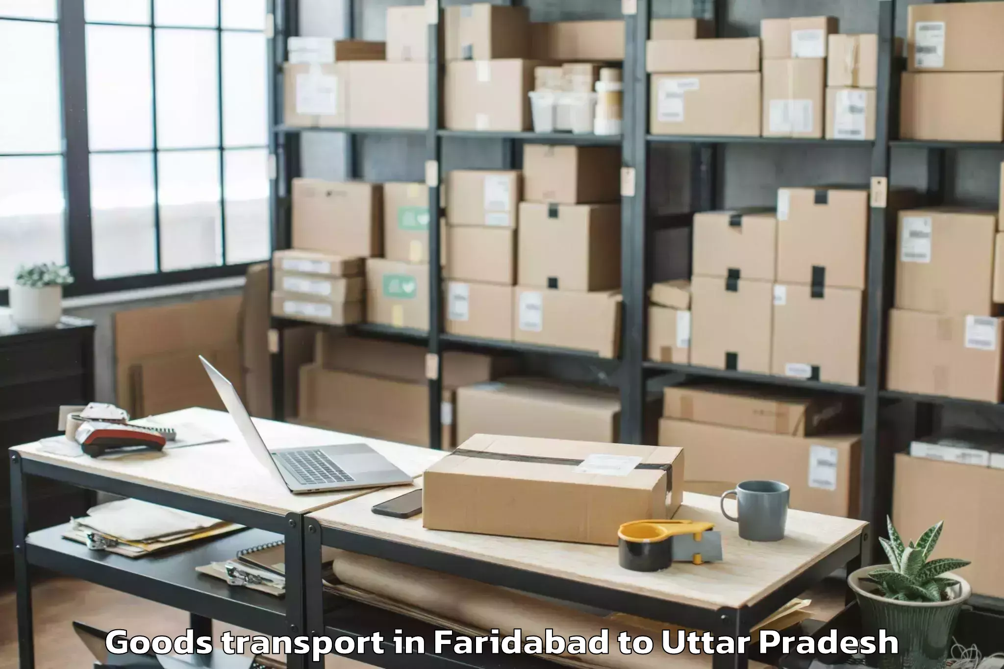 Top Faridabad to Gardens Galleria Mall Noida Goods Transport Available